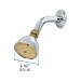 Regadera cónica 2-1/2",metálica, brazo y chapetón, cromo-oro