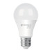 Foco LED 10W (75W) A19, 6500K blanca fría, 950 lm, BASIC