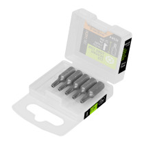 Estuche con 5 puntas torx T15 con seguro largo 1", EXPERT