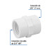 Adaptador hembra de PVC 3/4", FOSET