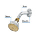 Regadera cónica 2-1/2",metálica, brazo y chapetón, cromo-oro