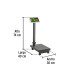 Báscula electrónica de plataforma, plegable, 100 kg. PRETUL