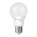 Foco LED 8W (60W) A19, 6500K blanca fría, 790 lm, BASIC