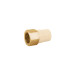 Adaptador hembra de CPVC 1" con inserto de latón, FOSET