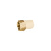 Adaptador hembra de CPVC 3/4" con inserto de latón, FOSET