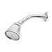 Regadera redonda 2-3/4",latón, c/brazo y chapeton,cromo,AERO