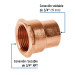 Conector de cobre, rosca interior 3/4", FOSET