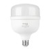 Lámpara LED alta potencia 35W (equiv. 300W) luz de día Basic