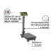 Báscula electrónica de plataforma, plegable, 100 kg. PRETUL