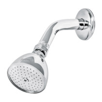 Regadera cónica 2-1/2", metálica, brazo y chapetón, cromo