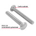 Bolsa con 15 tornillos 1/2" x 4" tipo coche, FIERO