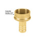 Conector 1/2" hembra de latón laminado, PRETUL