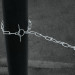 Cadena de 1.8 m de amarre para perro, 2.1 mm, FIERO
