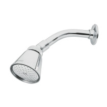 Regadera redonda 2-3/4",latón, c/brazo y chapeton,cromo,AERO