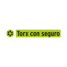 Estuche con 5 puntas torx T25 con seguro largo 2", EXPERT