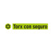 Estuche con 5 puntas torx T40 con seguro largo 2", EXPERT