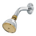 Regadera cónica 2-1/2",metálica, brazo y chapetón, cromo-oro