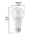 Lámpara LED tipo bulbo A19 6 W luz cálida, caja, Volteck