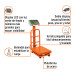 Báscula electrónica de plataforma, plegable, 100 kg, TRUPER