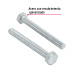 Bolsa con 50 tornillos 1/4" x 2-1/2" tipo máquina, FIERO