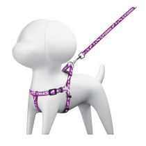 Correa con pechera para perro, 1 cm ancho, FIERO
