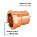 Conector de cobre, rosca interior 1-1/4", FOSET