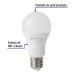 Foco LED 14W (75W) A19, 6500K blanca fría, 1150 lm, BASIC