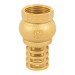 Pichancha con rejilla de latón 1", FOSET
