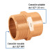 Conector de cobre, rosca exterior 1-1/2", FOSET