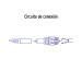 Conector de energía para CCTV tipo macho, VOLTECK