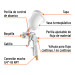 Pistola p/pintar híbrida vaso plástico,1.5mm, TRUPER